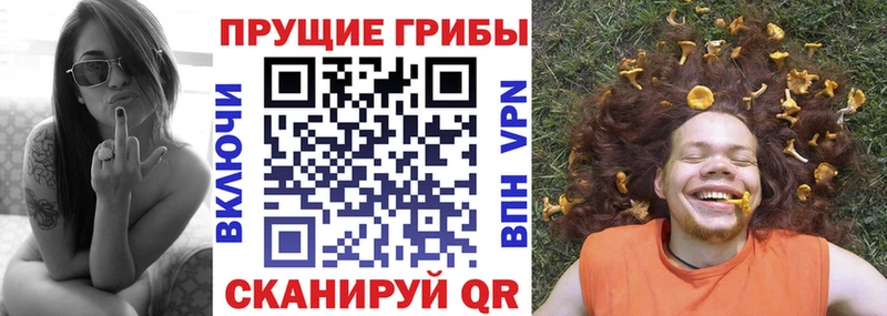 Купить закладки  Лаишево  Галлюциногенные грибы Psilocybine cubensis 